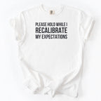 Please Hold While I Recalibrate My Expectations T-Shirt | Funny office gift for government employees humor