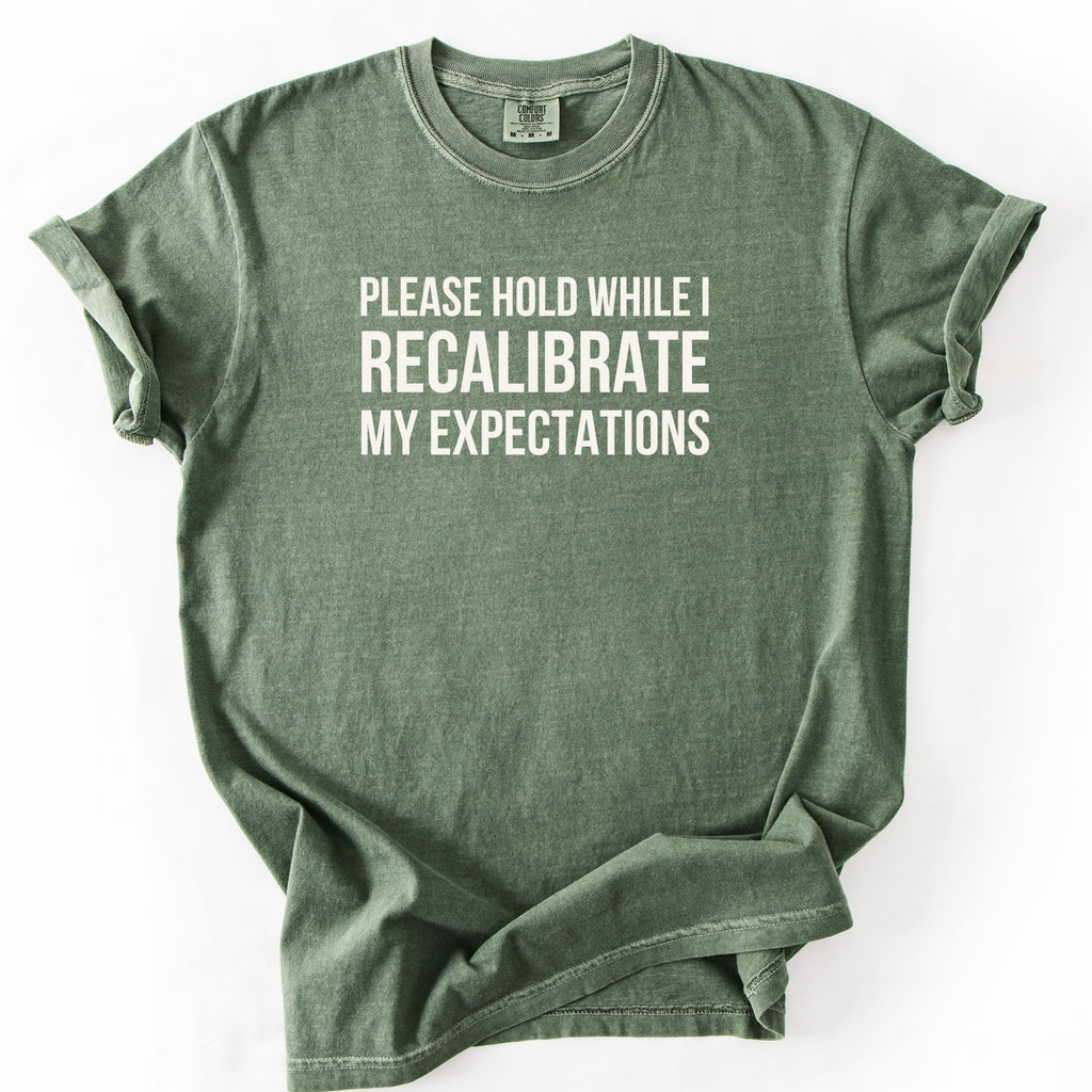Please Hold While I Recalibrate My Expectations T-Shirt | Funny office gift for government employees humor