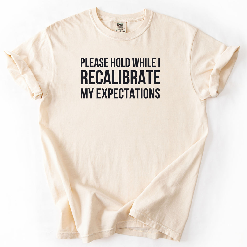 Please Hold While I Recalibrate My Expectations T-Shirt | Funny office gift for government employees humor
