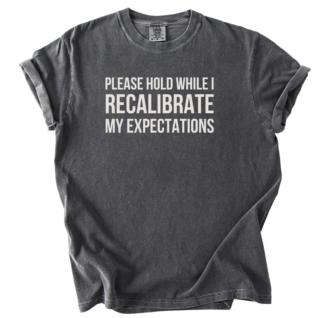 Please Hold While I Recalibrate My Expectations T-Shirt | Funny office gift for government employees humor